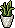 Atlanta Scandi Snakeplant