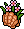 Coralking Schelpplant