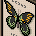 Cuadro Mariposa