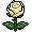 Jardin2018Roses