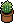 Klein Cactus