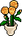 Luanda Flower3