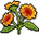 Luanda Sunflower2