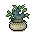 Oriental Bonsai Fufu