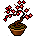SprFestival Plumblossom Fufu