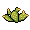 Yvess5 Western PetitCactus