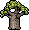 Baobab Tree