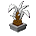 Ananas Blanc