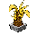 Ananas Jaune