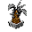 Ananas Noir