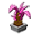 Ananas Rose