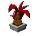 Ananas Rouge