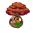 Autum Wonder