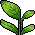 Babyboo 23 Plant 01