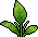 Babyboo 23 Plant 02 01