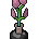 Beautyspot Grosseblume