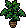 Bohogarden C21 Cheeseplant