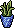 Bohogarden C21 Snakeplant