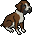boxer