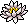 Lily Plant