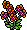 Orange Orchids