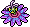 Purple Passion Flower