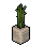 Cabana Plant