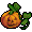 Citrouille Yvess