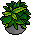 Concrio 23 Plant 01 01