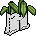 Cstm Cait23 Funky Plant1