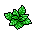 Cstm Cait23 Kerst Plantj