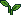Cstm Deco Plants17