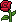 Cstm Deco Plants18