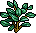 Cstm Deco Plants23