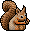 Cute Squirrel