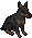 doberman