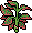 Easter C22 Redtippedplant