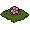 Fiore Grama