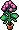 Garden C23 Pelargonium