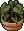 Grosses Plantes2 Frogg