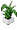 Habbo Plant Ho