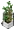 Habbo Plant To
