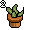 Habbos Cf Bigbush