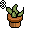Habbos Cf Smallbush