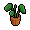 Habbos Dc Planta