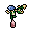 Habbox Cupid Windandrose