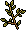Habbox Fbnncls Finesse Plante2