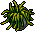 Habbox Fbnncls Finesse Plante4