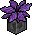 Habbox Fbnncls Finesse Plante5