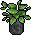 Habbox Fbnncls Finesse Plante9